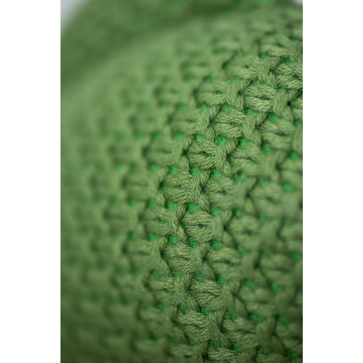 DINOSAURO PAKO MINI - immagine 5