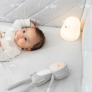 Luce notte Pinguino Pieno Pieno