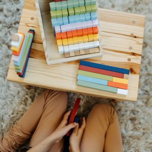 Regoli Scatola didattica XL “Educare”