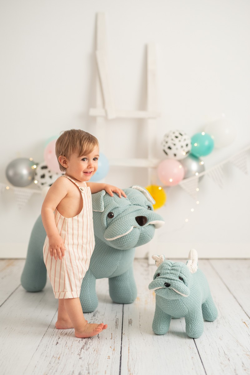 MAXI CANE BILLY - immagine 2