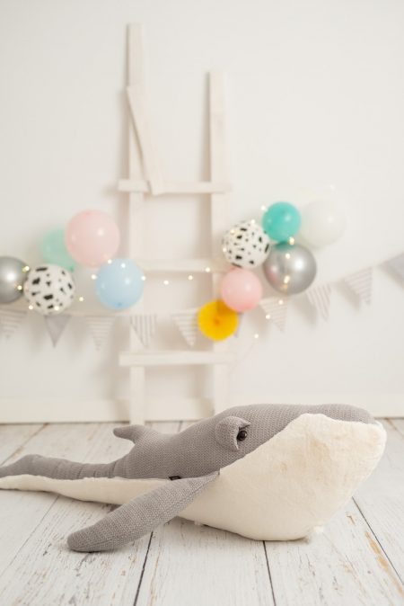 MAXI BALENA SONNY - immagine 6