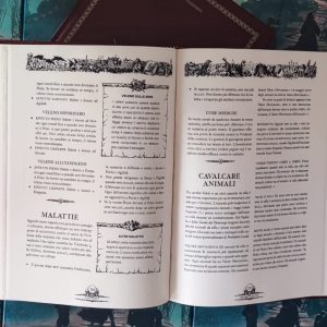 Forbidden Lands – Manuale del Giocatore (ITA)