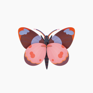 BELLISSIMA BUTTERFLY