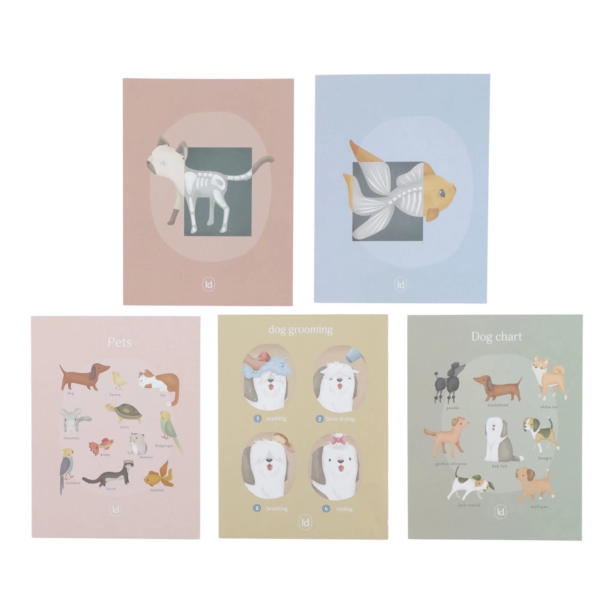 Studio veterinario in legno - immagine 3