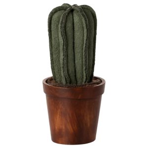 Vaso con cactus