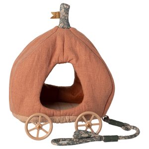 Carrozza zucca per topi