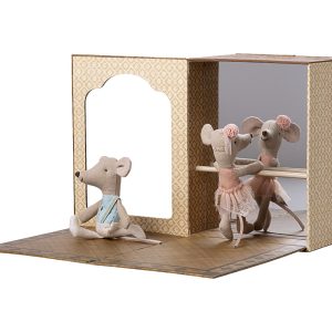 Topi balletto in studio di danza, sorella e fratello