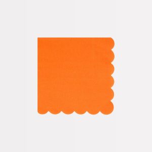 Tovaglioli piccoli zucca