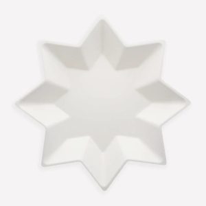 Piatti stella compostabili