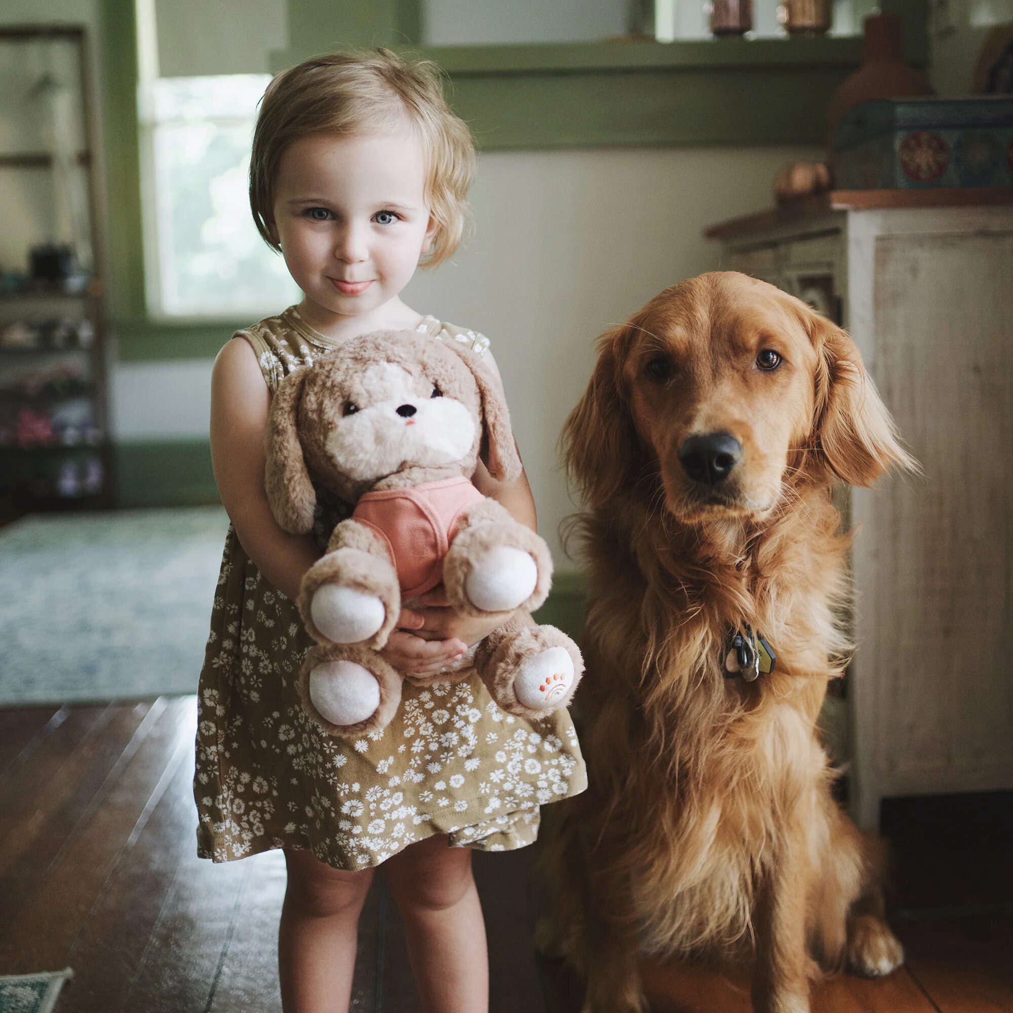 Cucciolo Honey dinkum dogs - immagine 7