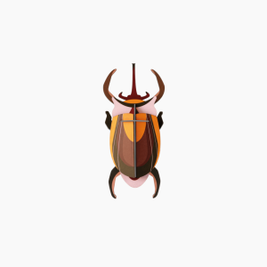 ELEPHANT BEETLE