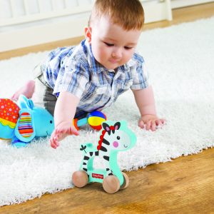 La mia prima Zebra con ruote