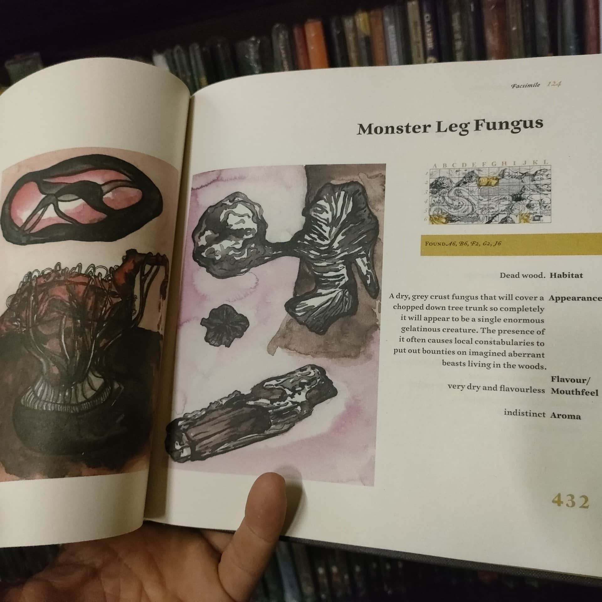 Fungi of the Far Realms - immagine 4