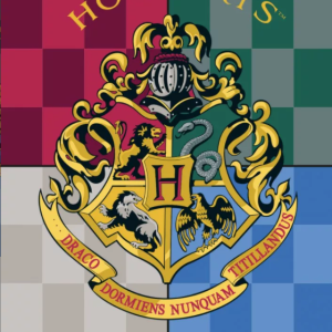 Coperta in pile – Harry Potter