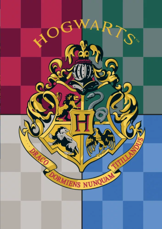 Coperta in pile – Harry Potter