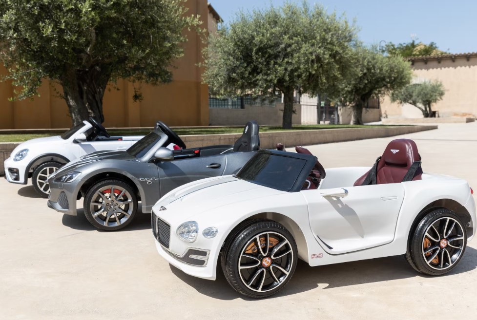 Bentley Bianca - immagine 6