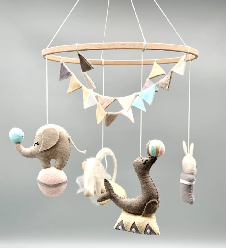 GIOSTRINA – DOLCE CIRCO - immagine 4