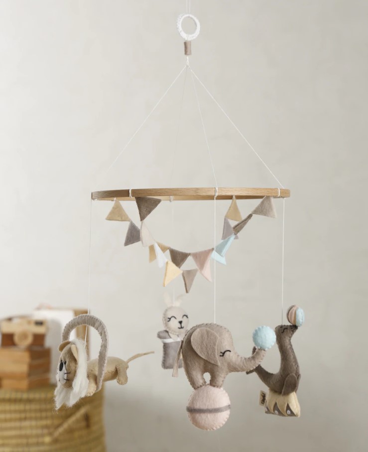 GIOSTRINA – DOLCE CIRCO - immagine 2