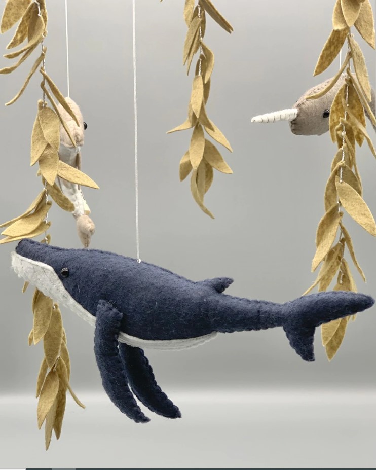 GIOSTRINA – AMICI DELL’OCEANO - immagine 4