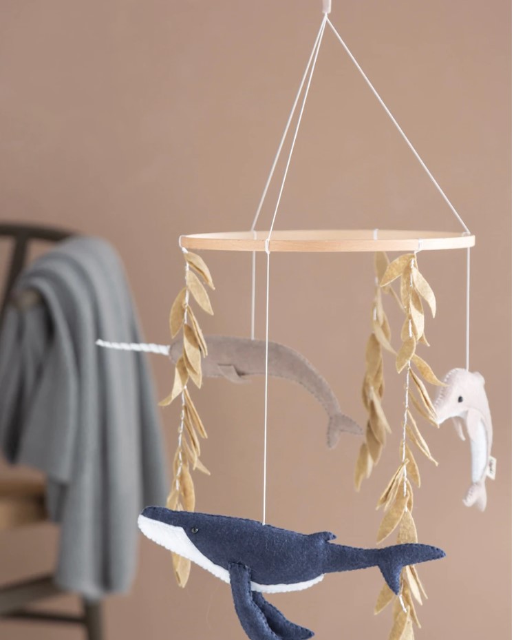 GIOSTRINA – AMICI DELL’OCEANO