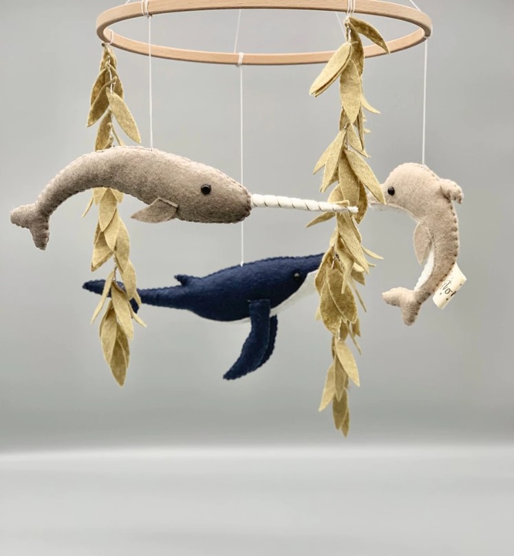 GIOSTRINA – AMICI DELL’OCEANO - immagine 3