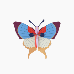 PLUM FRINGE BUTTERFLY