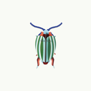 RAINBOW LEAF BEETLE