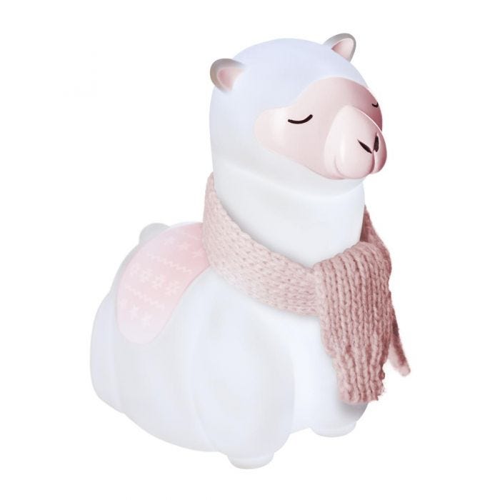 LUCE LAMA NOTTURNA - immagine 4