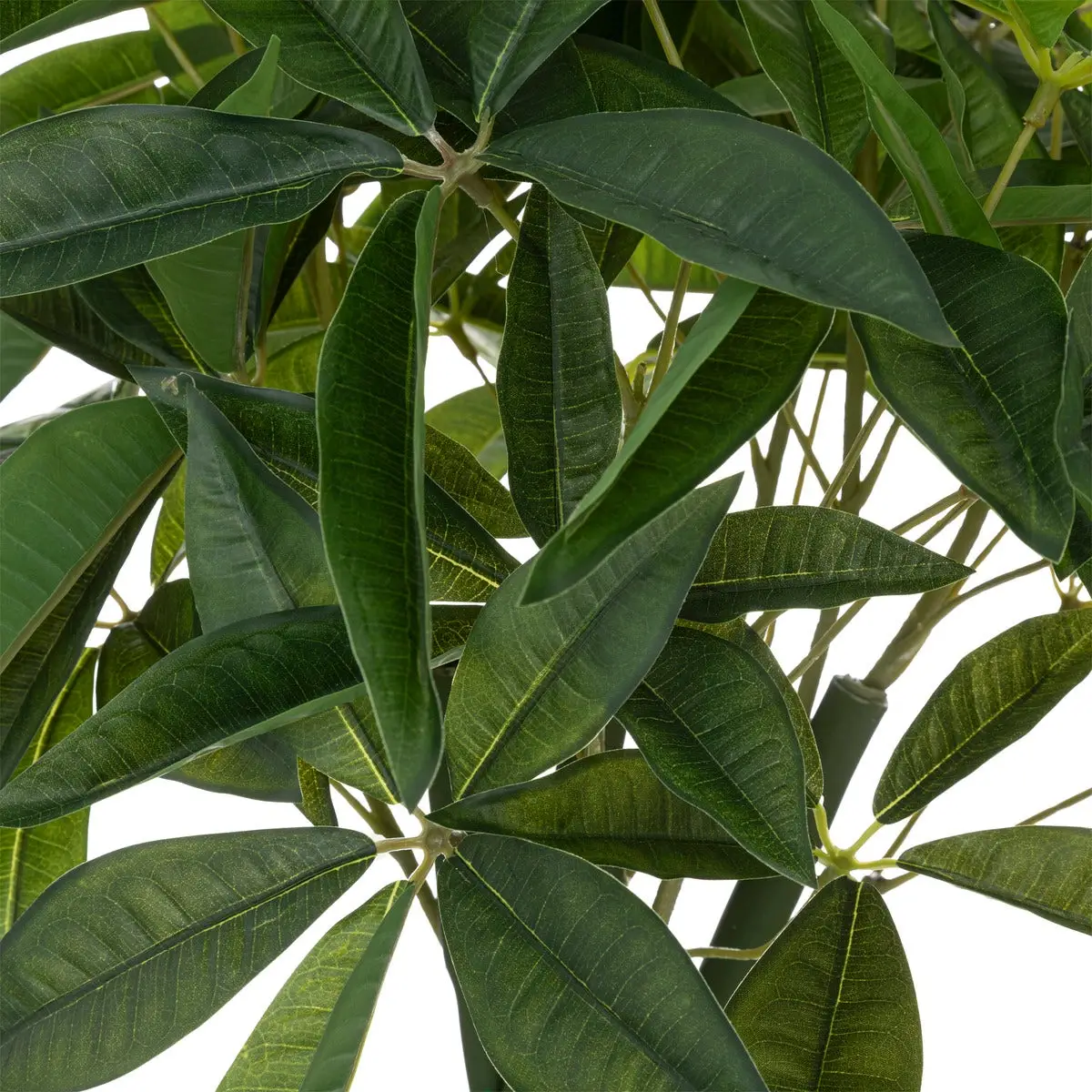 Albero di pachira artificiale “Bota”, vaso in cemento, H110 cm - immagine 4