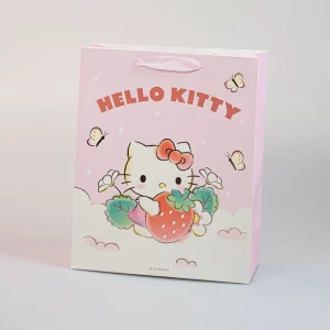 MINISO Diy-Busta Regalo Grande – My Melody