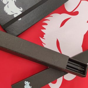 Shadow of the Demon Lord – SET DEL GM