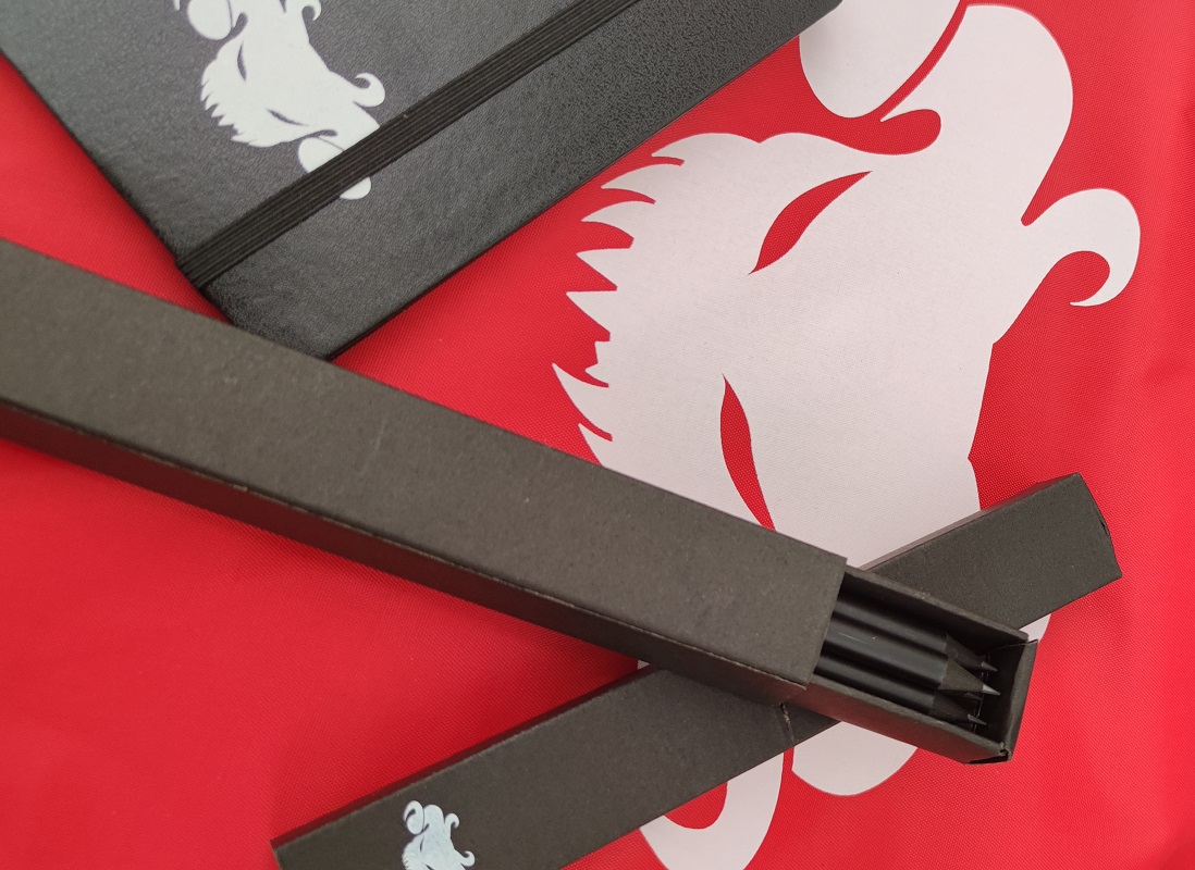 Shadow of the Demon Lord – SET DEL GM