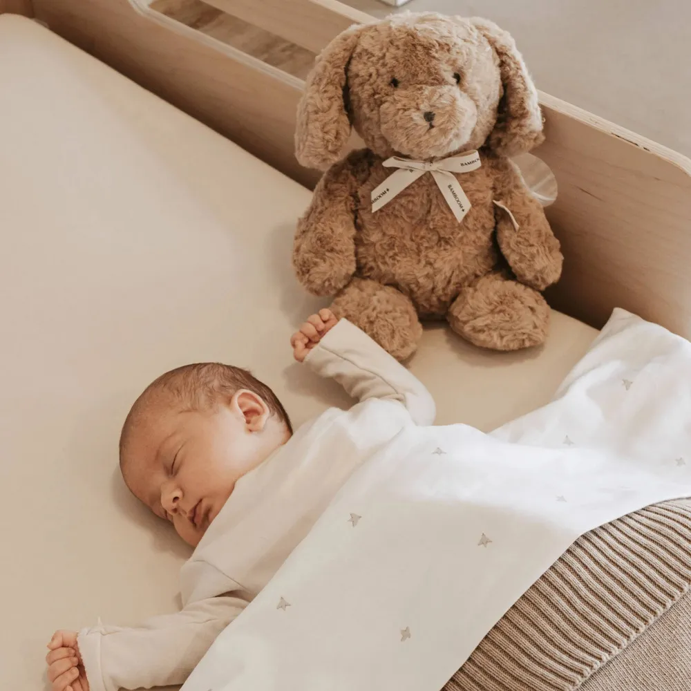 BAMBOOM PELUCHE CALMANTE PUPPY - immagine 7